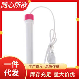 USB加温棒 充电加热棒 成人用品 配件代发飞机蛋