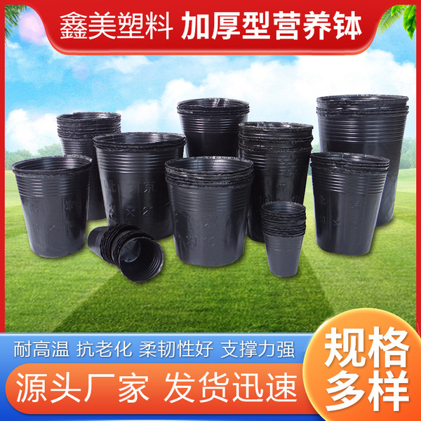 black plastic flowerpot