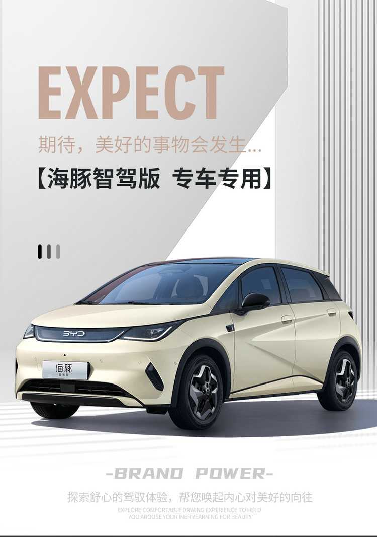 2025 BYD Dolphin seat covers, all-inclusive, four-season, special seat covers for the 2025 smart driving version Dolphin car