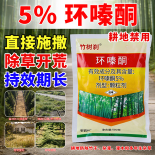 �hຆLͪ���݄����s���w�����s�������s�񄩹�ľ�_�Ĝ���ș�F·��