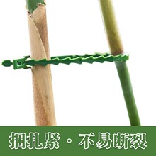 ����;�Gɫ�����������Ϲ̶��@ˇ�������� �@���~�ǽ���