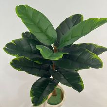 ����ֲ��Gֲ���廨��Ġ����bٻ������~�����z�~