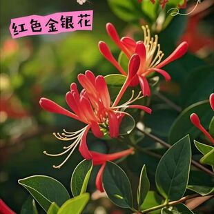 ���żt���y������������С�������ϱ������ɷN�ͺ��͟�༾�_��