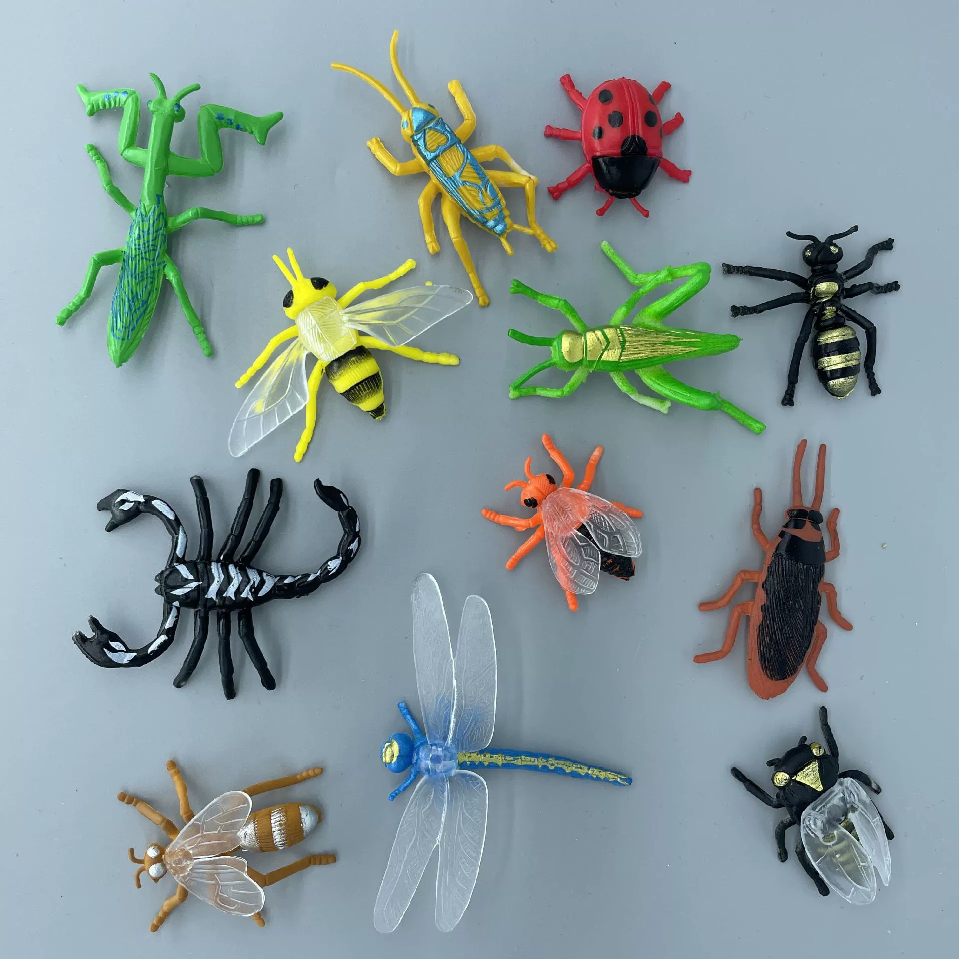 Детская игрушка модель насекомого игрушка ПВХ имитационная модель археологических раскопок мальчик раннего обучения трюк через границу оптом