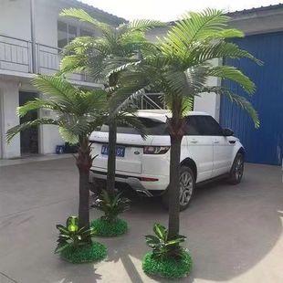 ����Ҭ�Ә��Ҭ�Ә��҃����bGɫֲ����ͷ���Gֲ��ط����ؙ�