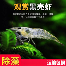 �ښ��r�r���^�p�r�����~��С�r��ˮ�ͻ���ˮ̖�坍�O��ѻ��r