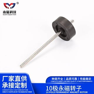 定制加工电机马达磁性维修零件10极永磁转子多种铁磁转子模组批发