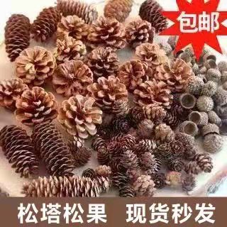 跨境天然松果装饰摆件摄影复古道具松塔手工diy干花材料松果松花