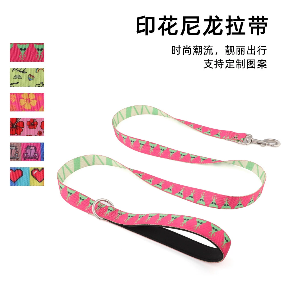 Теплопередача цветов Симпатичная собака буксировочная веревка дудя дрова собака выгуливает собачью веревку