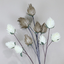 EVA���滨 3�^������ �������������Gֲ��ĭ���Ꭷֲ�ﻨ���b�