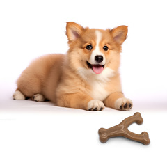 ペットのおもちゃ、犬の歯ぎしりスティック、犬の退屈を和らげる、歯の骨をきれいにし、噛みつきにくい、犬のおもちゃ、小型犬の歯ぎしりスティック
