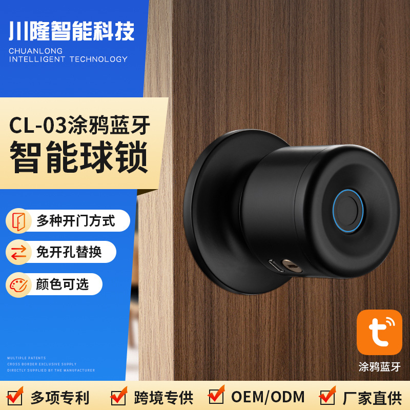 跨境外贸指纹锁球锁免穿线安装涂鸦蓝牙智能房间门锁