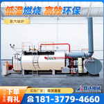 锅炉蒸汽发生器卧式生物质颗粒养护锅炉三回程燃油燃气蒸汽发生器