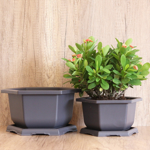 Gardening imitation purple sand flower pot thickened plastic hexagonal orchid pot succulent flower pot rectangular bonsai pot wholesale