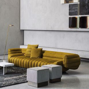 Baxterɳ�l������p��ɳ�lĥɰƤ�͏d�e����ʽ�O�����|��Ƥ�M��
