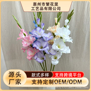 �羳ܛ�z���m���滨�����߼�����ؔ[����ˇ��c�͏dܛ�b���l�b�