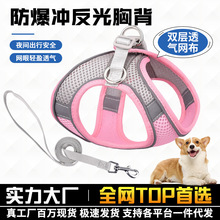 跨境爆款宠物胸背带反光大狗防爆冲牵引绳背心式狗绳猫绳宠物用品