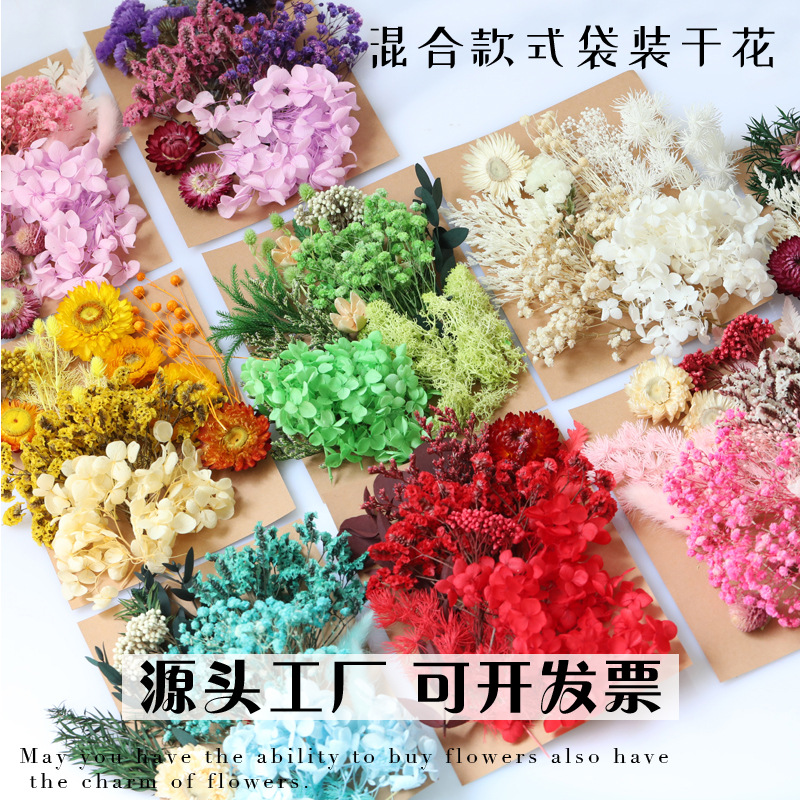 Flor seca flor eterna marco de fotos en relieve paquete de material flotante hecho a mano aromaterapia ventilador redondo actividad salón grupo edificio transfronterizo al por mayor