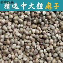 W^BZСwPƤĵС̫Bʳ}Z