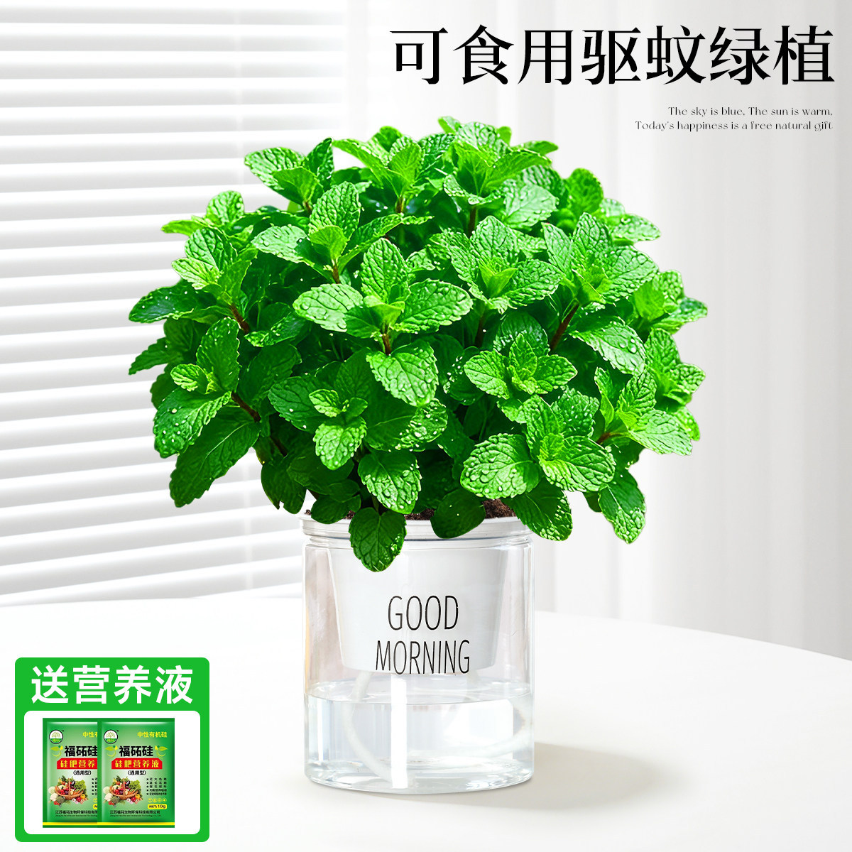 With simple planting pot