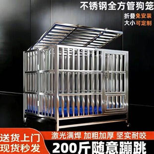 304���P䓹��\�д���Ȯ�ۯB���҃��⹷�\�ӼӴֹ��C��ë߅���\��