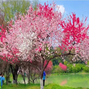 ������һ�ͥԺ�^�p�һ��Ҙ������~�����繤�̾G�������~���L����