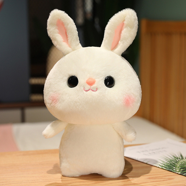 Cute rabbit