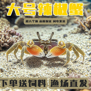 ��Ʒ����з��̖�~���^�pз��ˮ����С�з����ˮ�����~���坍����