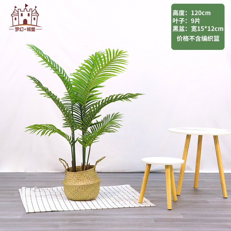Simulación de plantación verde de plátano de bambú de tortuga grande planta de plantación de ventana interior diseño de ángulo de planta de árbol falso paisajístico