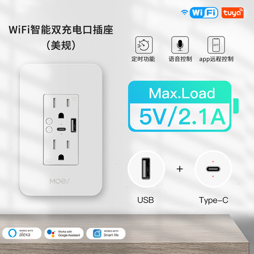 Tuya WiFi smart home wall socket app timing voice control USB+typec dual hole smart socket