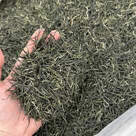 毛尖绿茶2026新茶叶正宗河南绿茶明前一级浓香型春茶散装茶叶500g