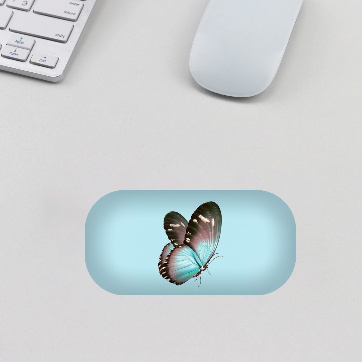 G17-MH083-7-하늘색 배경에 파란색 나비.tif