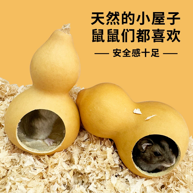 Хыква Уклоняясь от дома Хомяк Гнезда Хыква, Лексабельные принадлежности