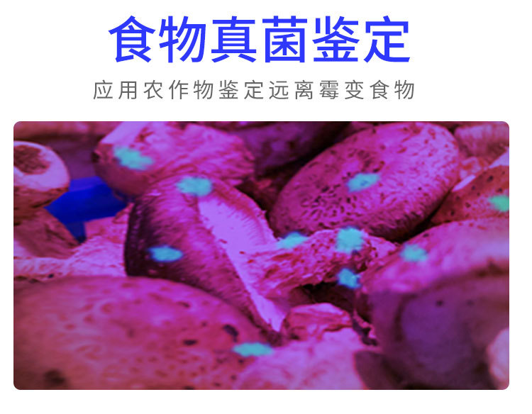 Uv Ultraviolet Flashlight Dual Light Purple Light Jade Anti-Counterfeiting Banknote Detection Cat Moss Fluorescent Agent Detection Light Scorpion Light