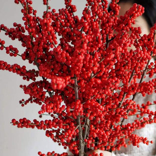 Fortune Flower Wintersweet Festive Spring Festival Imported Red Fruit Yunnan Direct Delivery Real Flowers Hydroponic Fruit Holly North American Cut Branches