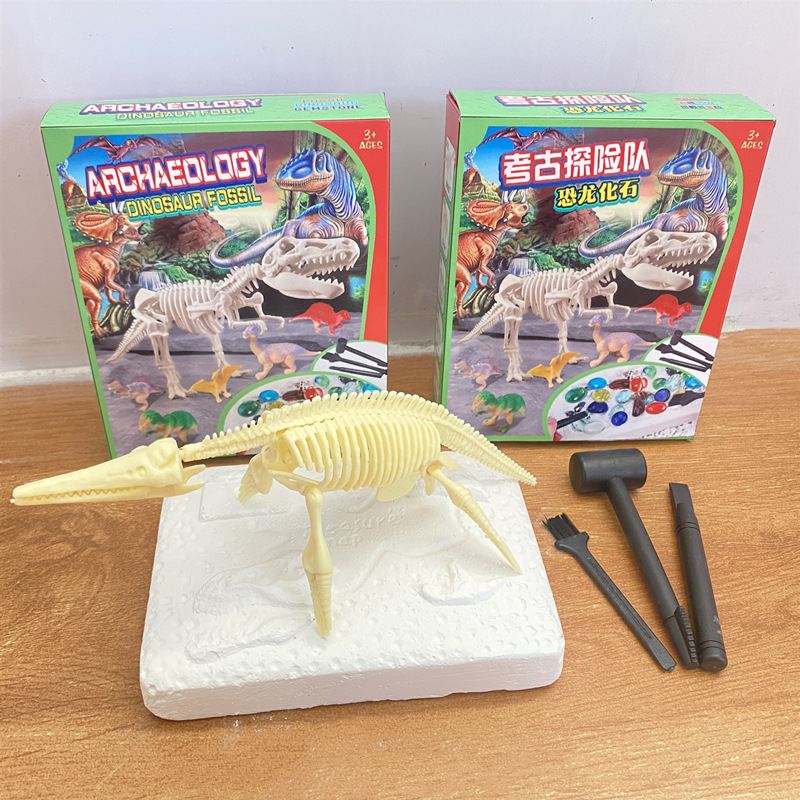 컬러 박스-드래곤 스켈레톤 + 도구