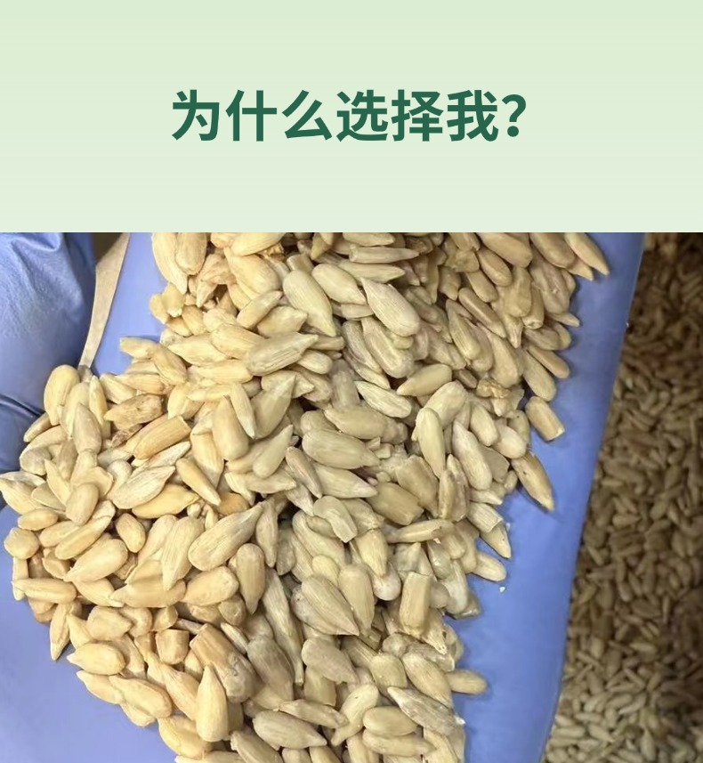 Sunflower Seed Kernels Kuihua Ziren Raw Shelled Sunflower Seeds for Snacking and Baking key features