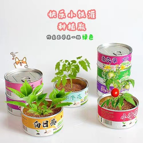 ֲСװֲֹ ޻ħ칫ֲ