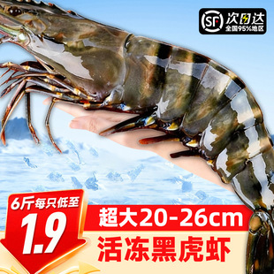 �ڻ��r�r���ك������ϻ��r�ش��r�����r�r�r���r�����߾Ź��r
