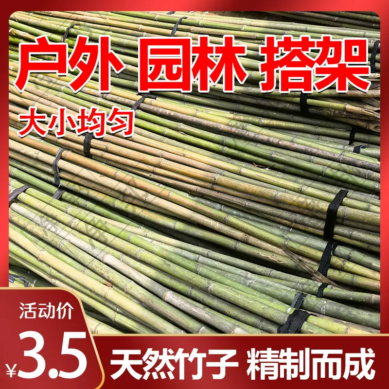 室外庭院园林装饰竹竿 菜园 婚庆搭架竹杆