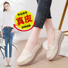 春秋季休闲坡跟女单鞋韩版时尚松糕厚底摇摇鞋女一脚蹬防滑妈妈鞋