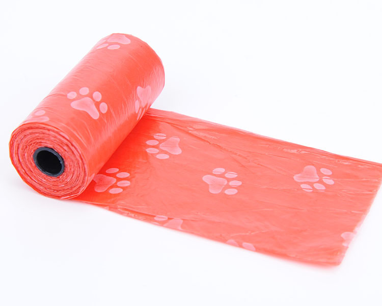 3389562224_973676538