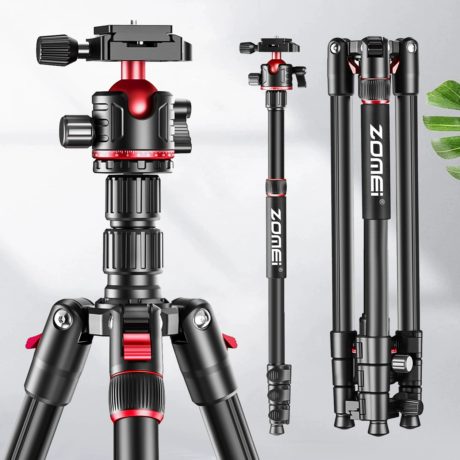 Камера штатив Q173CM Фотография Выдвижная многофункциональный штатив микро-зеркальный мобильный телефон в прямом эфире