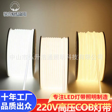 220V��װ��zCOB��FCOBܛ���l�߉����COB��ɫ��ճ�����X���b�