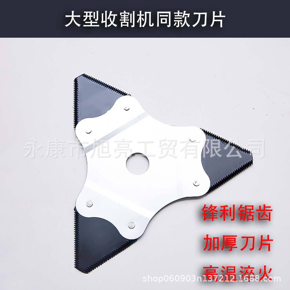 IMGL0602