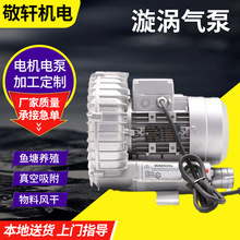 可定制2.2KW/220V单相高压漩涡气泵物料风干工业气泵水产养殖气泵
