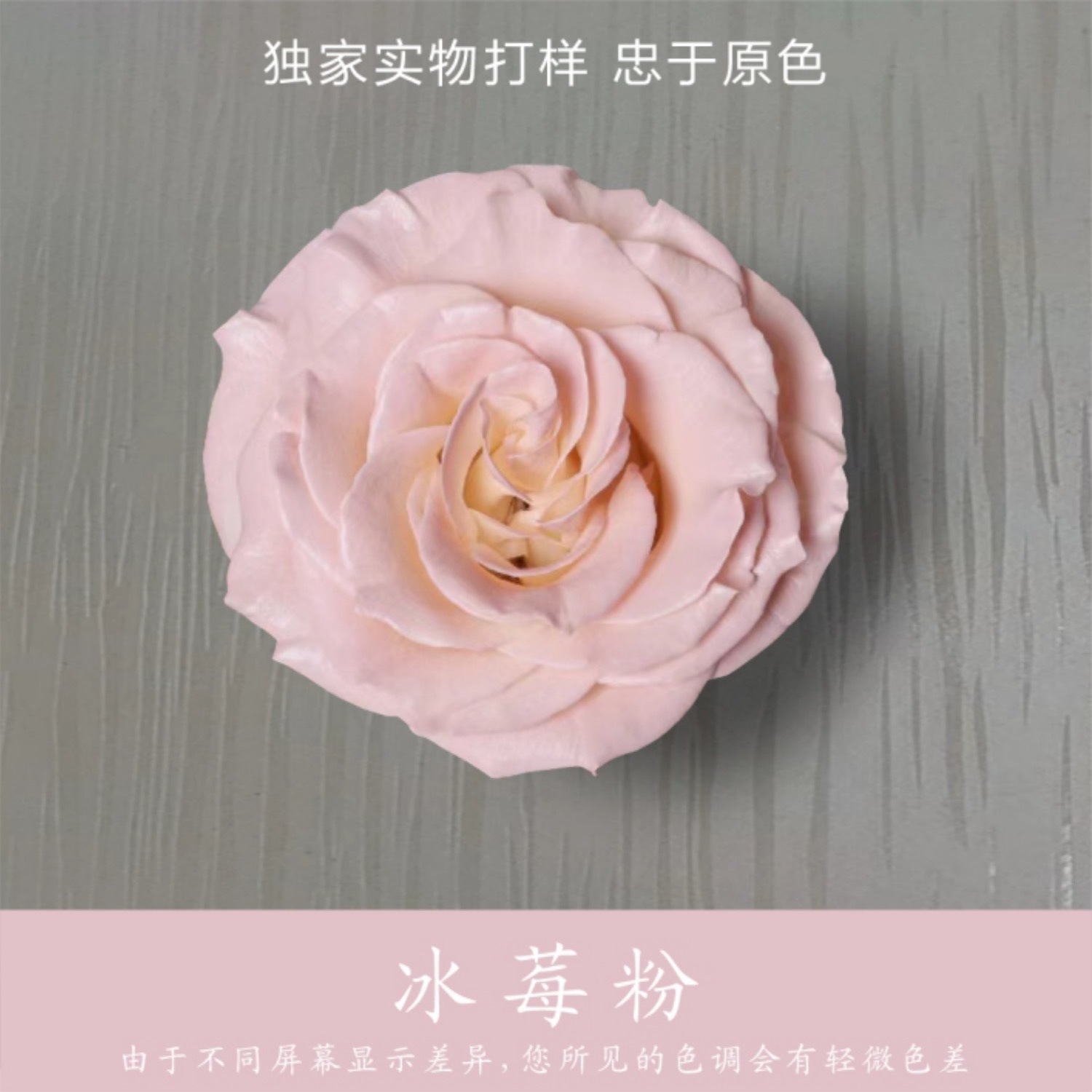 아이스베리 파우더