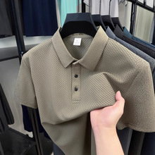 ���Q�W�a���z��ʿ�����ļ��W�۶���t�����r���I����polo��������