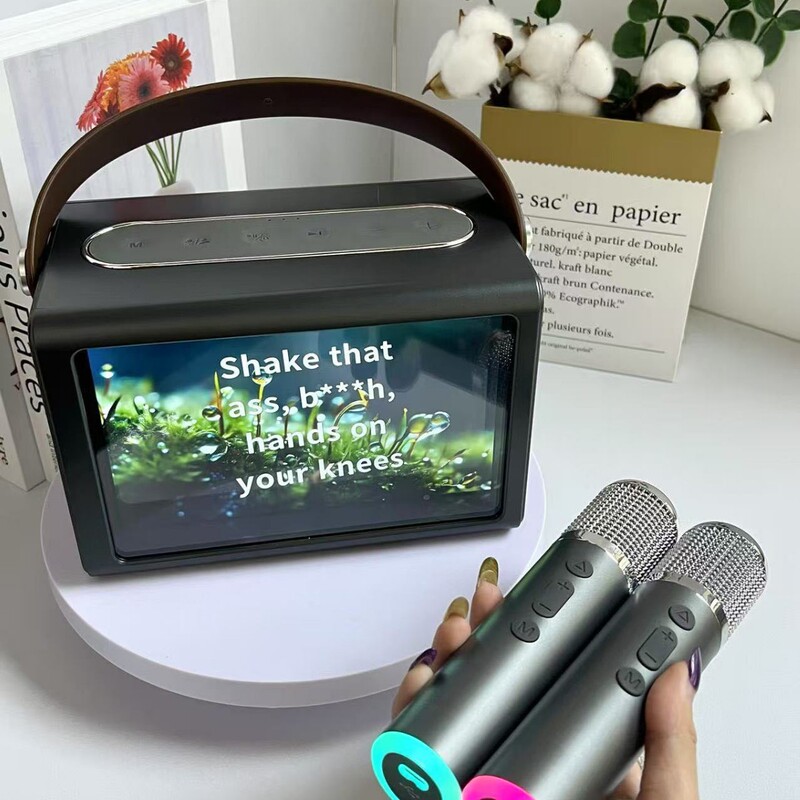 Bluetooth Karaoke Speaker with Screen Projection Function, Floating Lyrics, Dynamic Effects, Atmosphere Scene, Dual Microphone, Home Stereo Bluetooth Karaoke Speaker with Screen Projection Function, Floating Lyrics, Dynamic Effects, Atmosphere Scene, Dual Microphone, Home Stereo