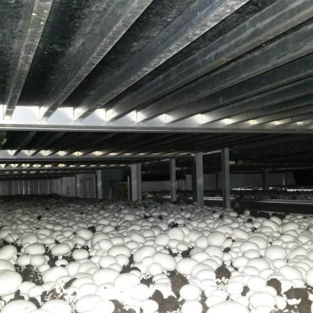 厂家供应山西双孢菇铝合金种植架采菇车  防锈耐腐装卸方便